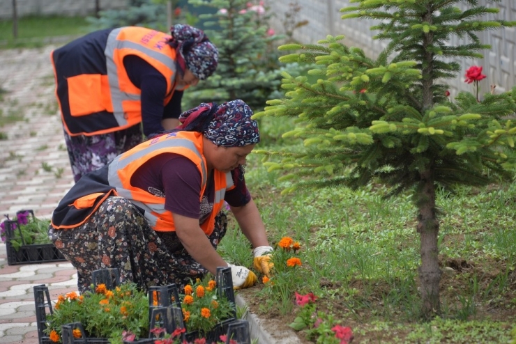 Cami Bahçeleri Çiçek Açtı