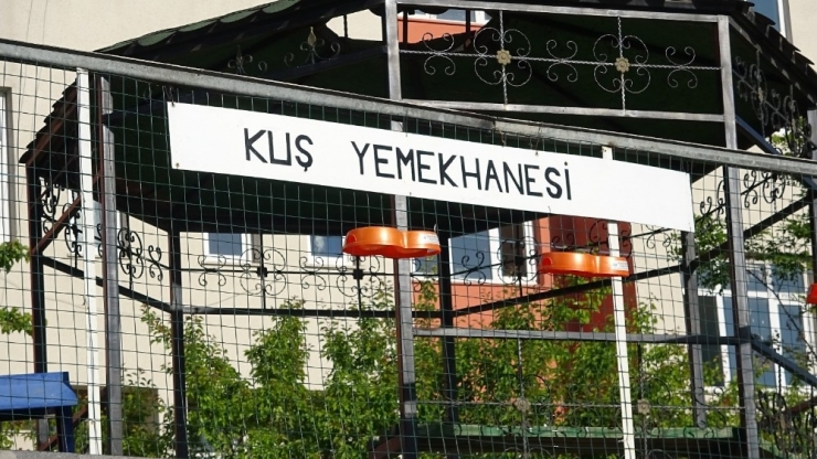 Öğretmen Ve Öğrencilerden Kuşlar İçin Yemekhane