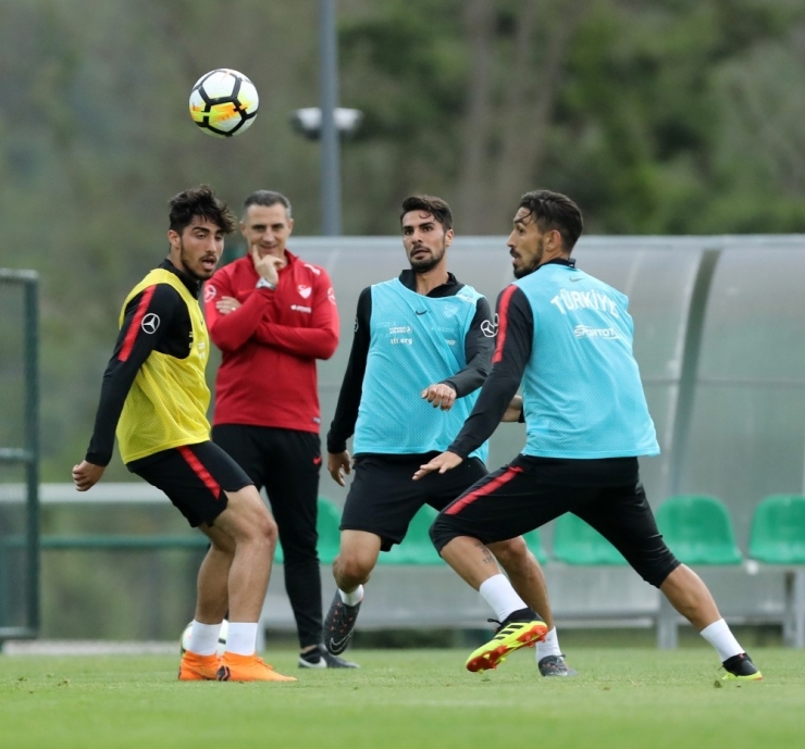 A Milli Takım, Tunus Maçı Hazırlıklarına Başladı
