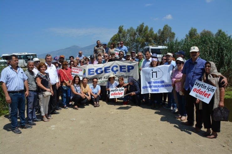 Söke’de Çevrecilerden Balık Ölümleri Eylemi