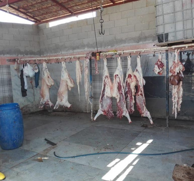 Reyhanlı’da Kaçak Et Operasyonu