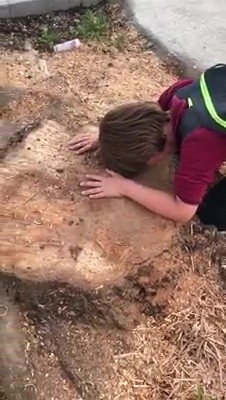 Doruk’un Ağaç Tepkisi Gündem Oldu