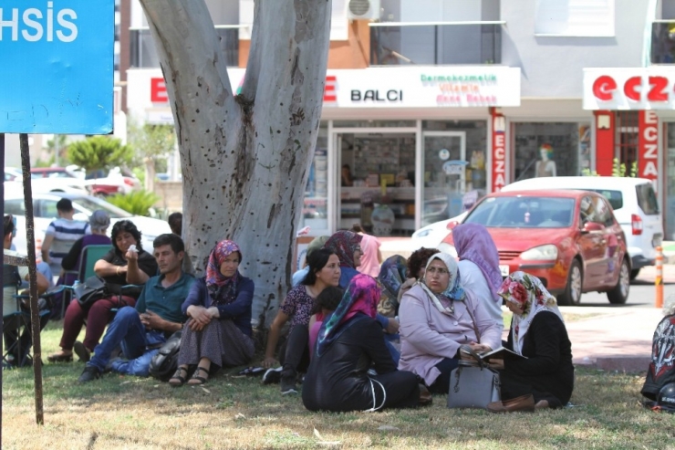 Antalya’da Lgs Heyecanı