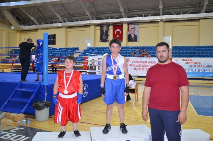 Bilecik, İller Arası Boks Turnuvası’na Ev Sahipliği Yaptı