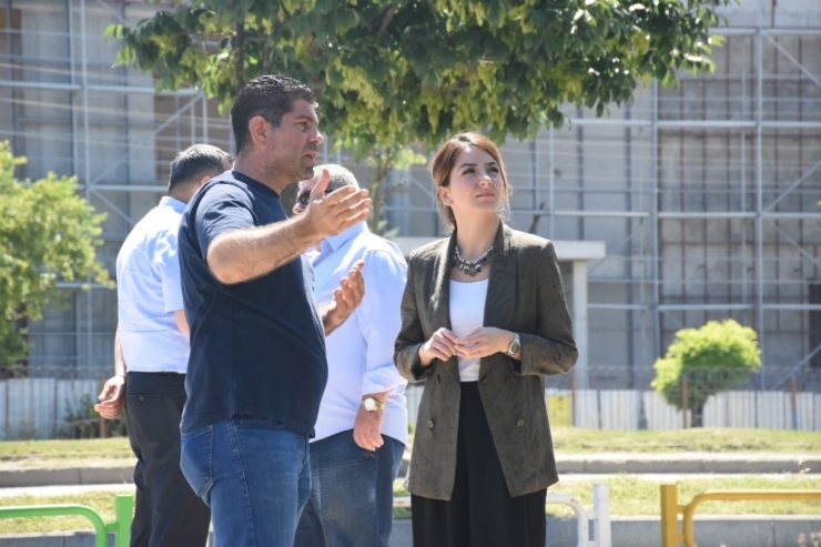 Düzce’de Amerikan Kelebeği İle Mücadele Başladı