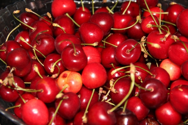 Kiraz Her Derde Deva, Karpuza Dikkat