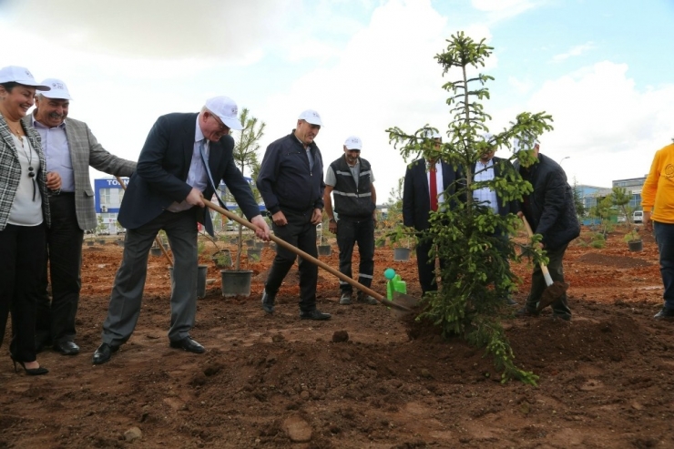 Odunpazarı Belediyesi Çevre Çalışmaları