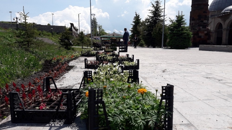 Kars’ta Tarihi Mekanların Etrafı Çiçek Açtı