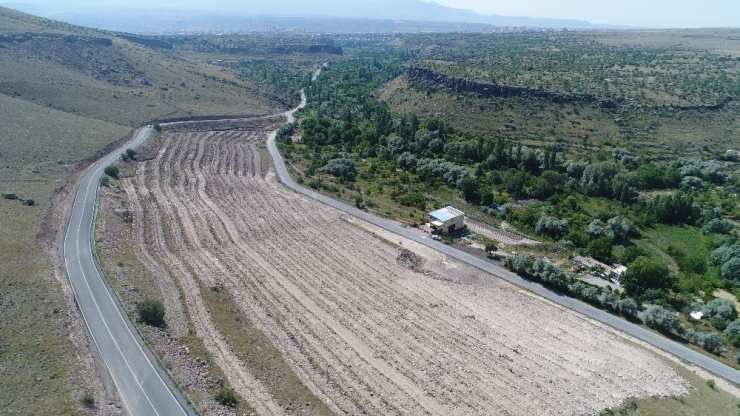 Başkan Karayol, "Yeşillendirme Çalışmalarına Önem Veriyoruz"
