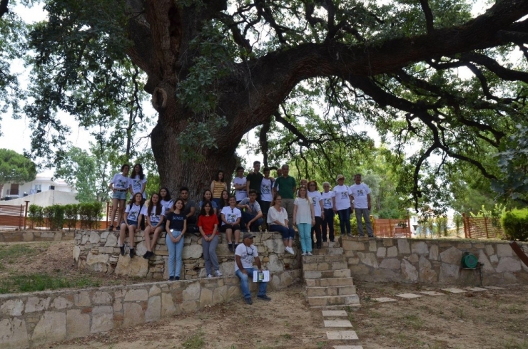 Kuşadası’nda Anıt Ağaç Ve Tüllüşah Vadisi Turu