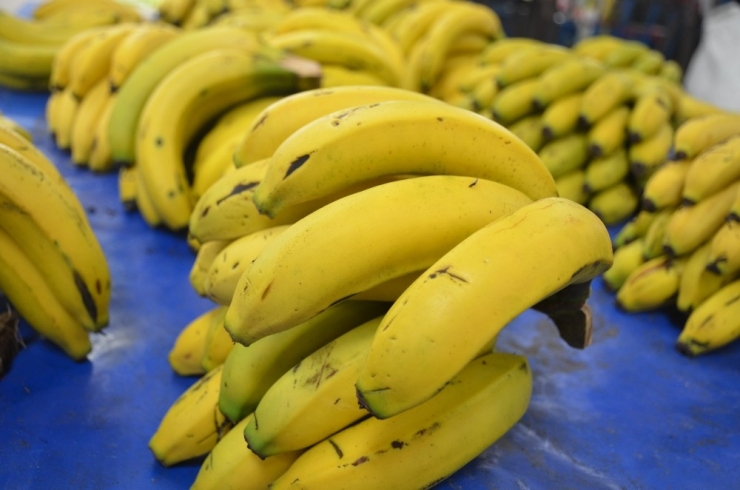 Anamur’da 3.5, Bilecik’te 7 Tl