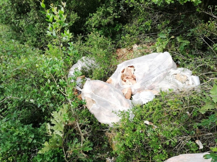 Hayvan Sevgisi Adına Çevre Kirletiliyor