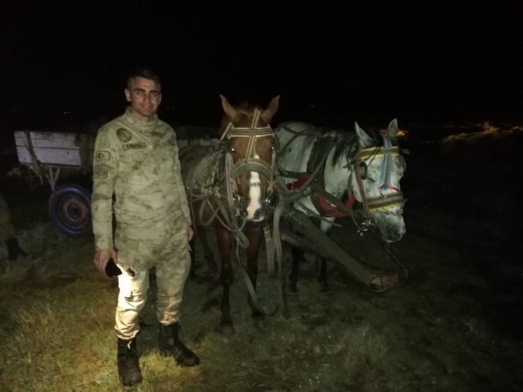 Van’ın Erciş İlçesinde 9 Ton Balık Ele Geçirildi