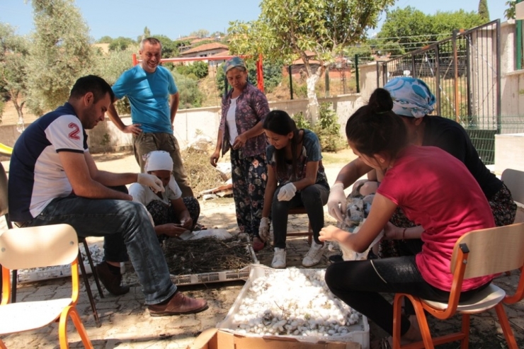 Ödemiş Çevresinden 1 Ton Yaş Koza Beklentisi