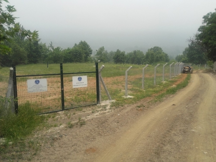 Çöplükler Yeşil Alan Oluyor