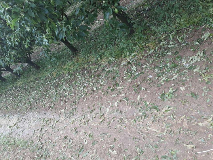 Isparta Gelendost’u ‘Dolu’ Vurdu