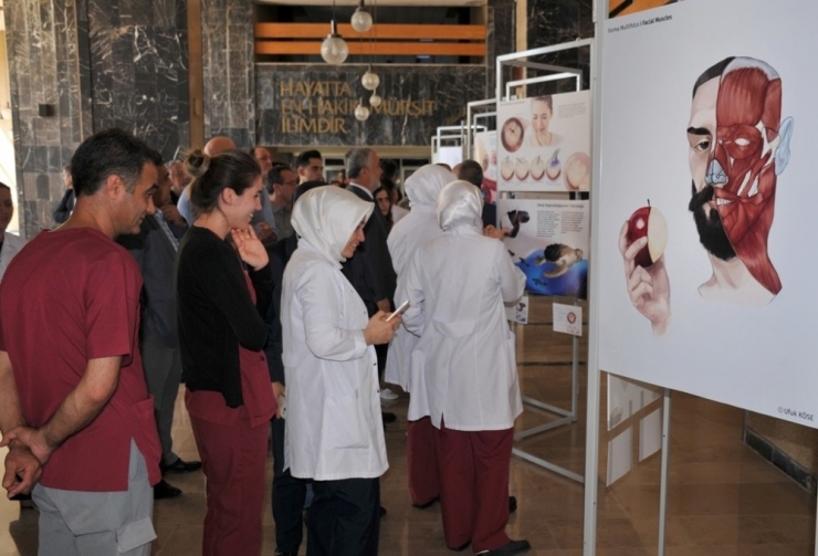 Sanatın Ve Tıp Biliminin Kesiştiği Sergi