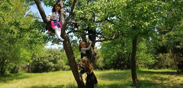 Okul Öncesi Eğitimde, Öğretmenin Yerini Deneyimleme Alıyor