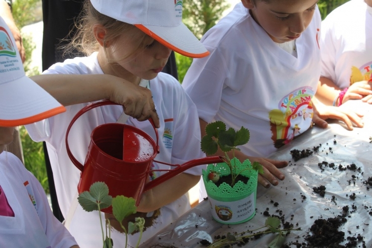 Yetenekli Çocuk Tarım Kampı Başlıyor