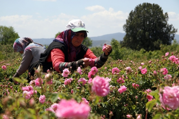 Güller Diyarı Isparta’da Çifte Bayram Yaşanacak
