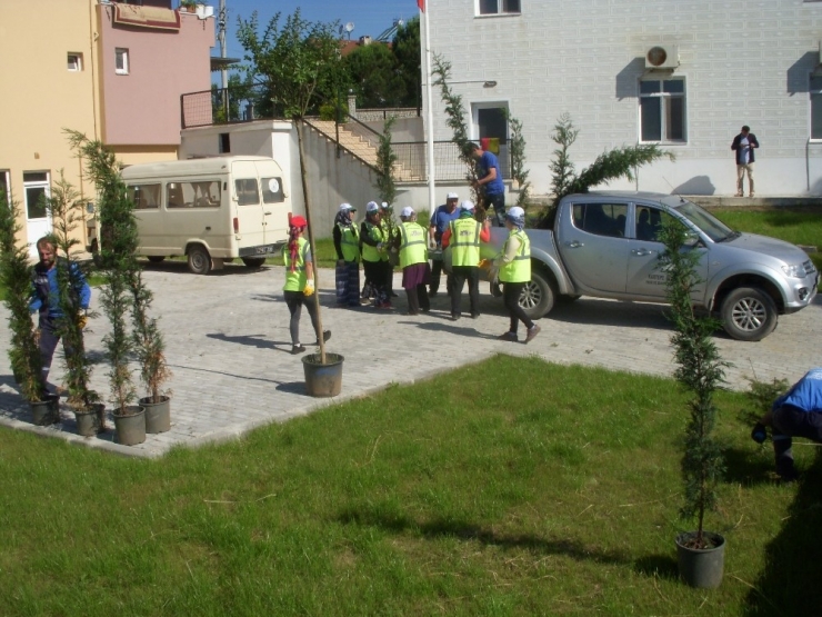 Kartepe’de Çevre Düzenleme Çalışmaları Devam Ediyor