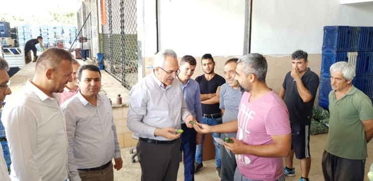 Milletvekili Aydın: “Tarım Ve İhracat Şahlanacak”