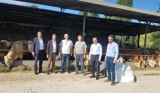 İl Müdürü Yoldaş’ın Pazaryeri Ziyareti