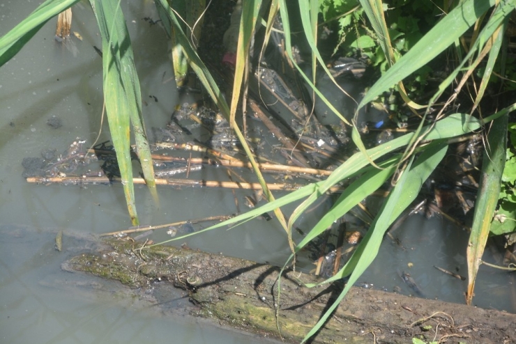 Bağlar Deresi, Vatandaş İle Organize Sanayiin Arasını Açtı