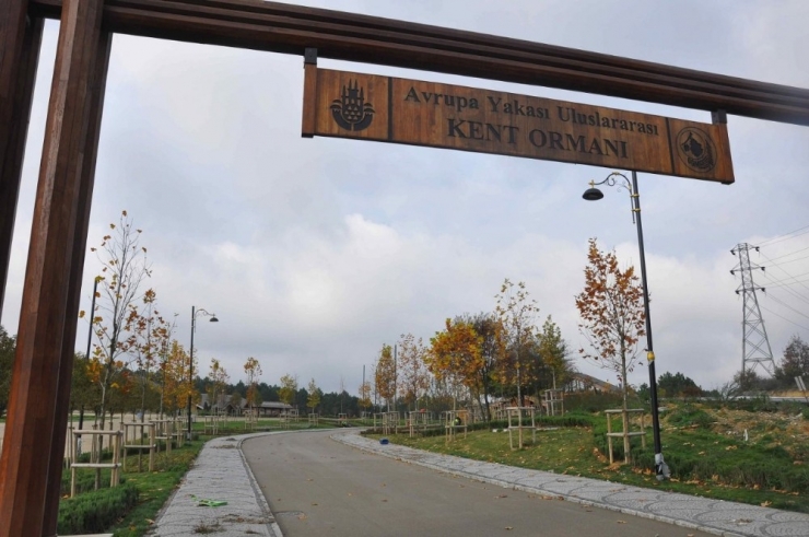 "Uluslararası Kent Ormanı” Eyüpsultan’da Açılıyor