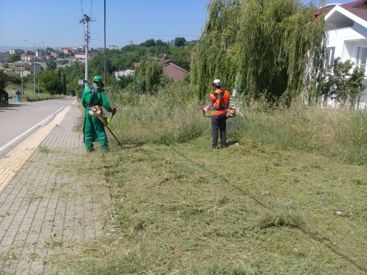 İzmit Belediyesi’nden Parklarda Bakım