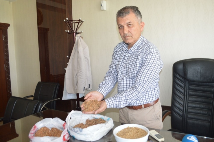 Kuraklık Ve Zamansız Yağış Verimi Düşürdü