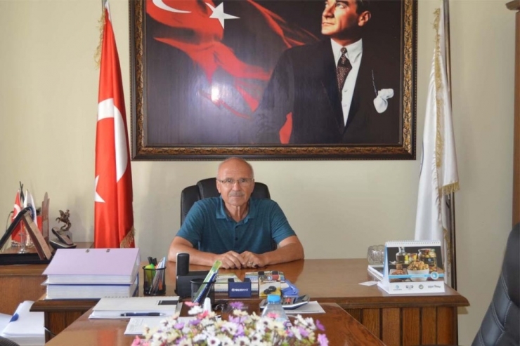 Yağışlar Zeytine Zarar Vermedi