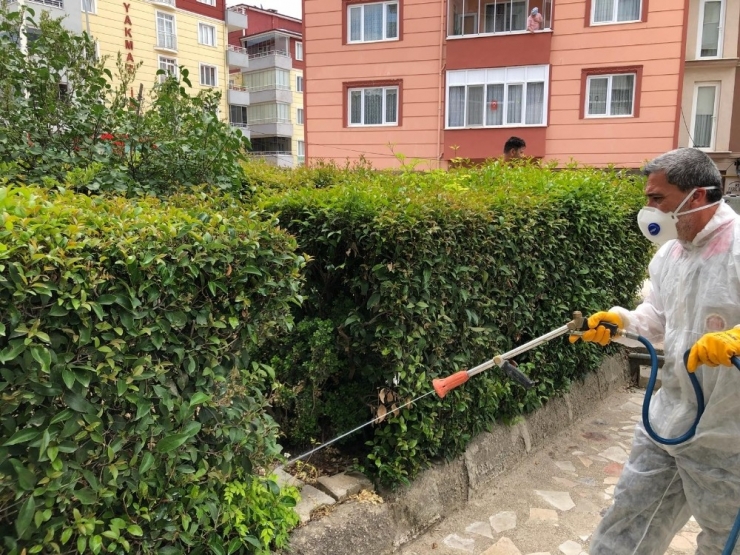 Bilecik’te Park Ve Bahçelere Kapsamlı İlaçlama