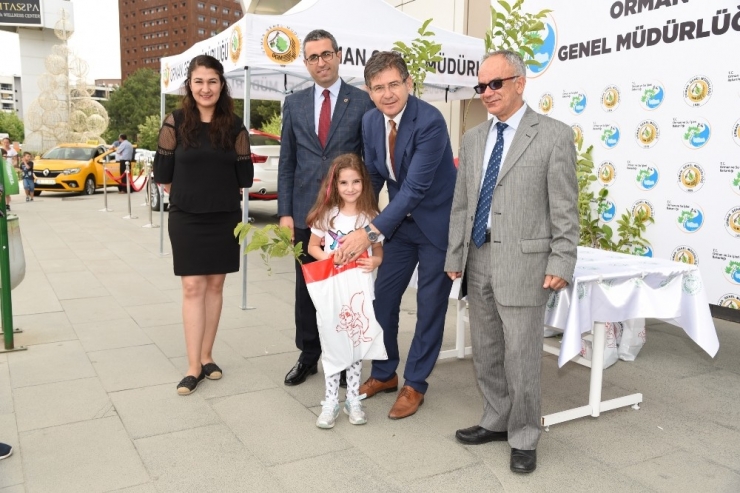 Çölleşmeyle Mücadele İçin 2 Bin Fidan Dağıtıldı