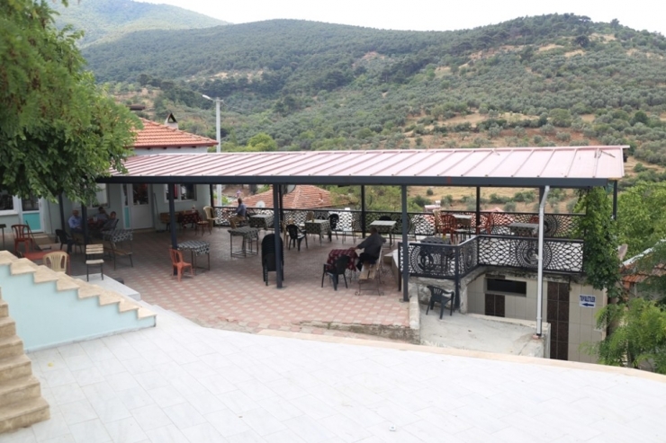 Burhaniye’de Dutluca Yaz Sezonuna Hazır