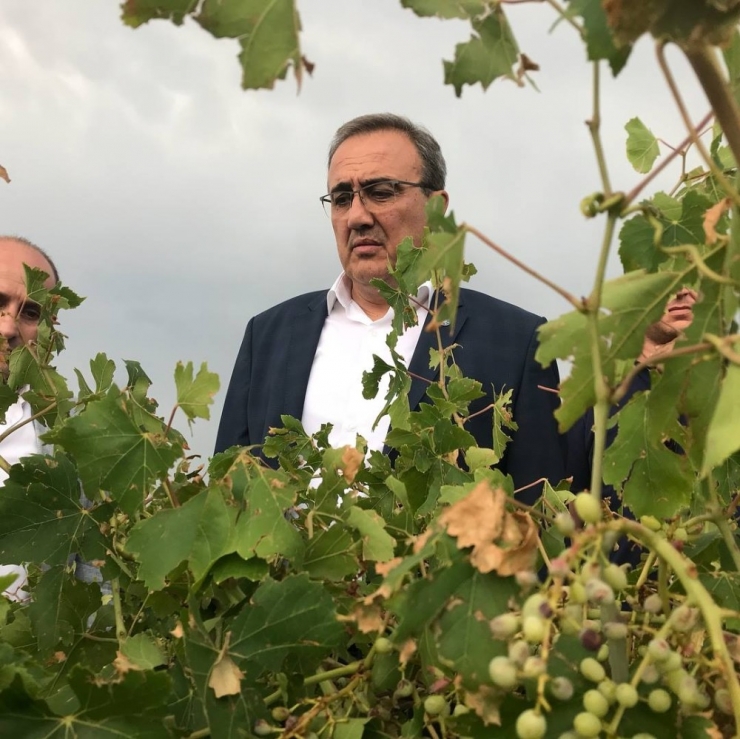 İyi Partili Karaçoban Afetzede Çiftçileri Ziyaret Etti