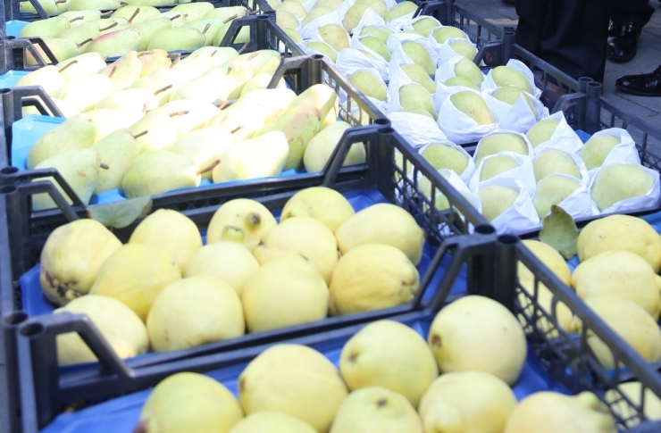 Tarım Şehri Bursa’da Meyvecilik Güç Kazanıyor