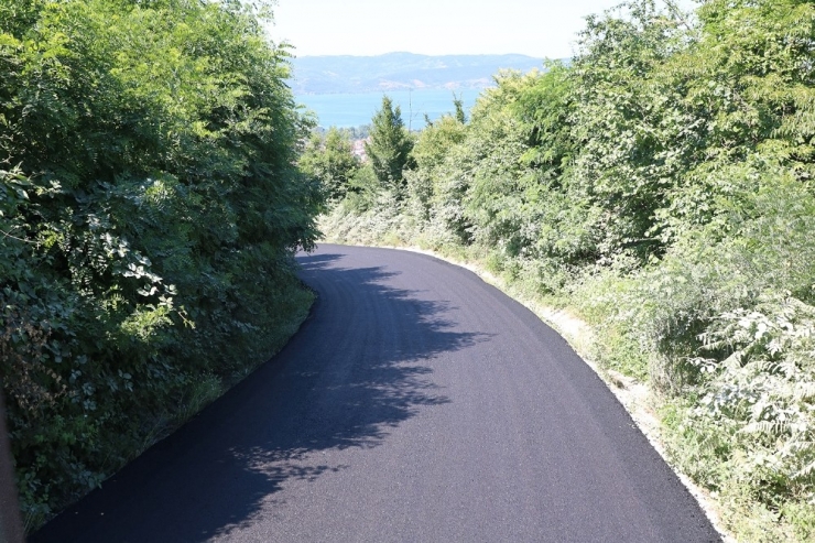 Nailiye Mahallesi’nden Büyükşehir’e Asfalt Teşekkürü