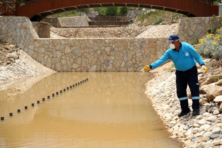 Merkezefendi’de İlaçlama Faaliyetlerine Devam Ediyor