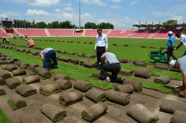 Atatürk Stadının Çimleri Sökülmeye Başladı
