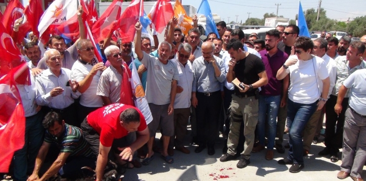 Bakan Elvan: "Belki Yüz Yıl Beklesek, Böyle Bir Lidere Sahip Olmayız"