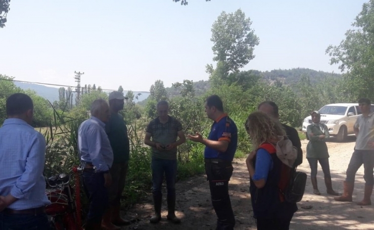 Osmaneli’nde Dolu Yağışı Tarımsal Alanda Zarara Yol Açtı