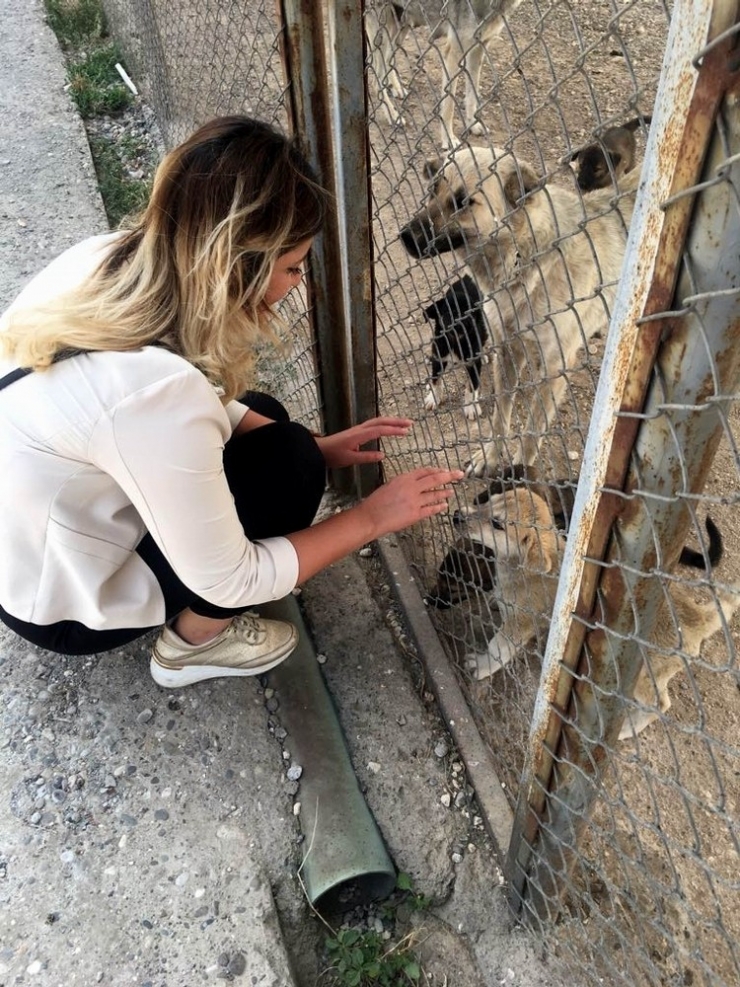 "Hayvan Haklarını Meclise Taşıyacağım”