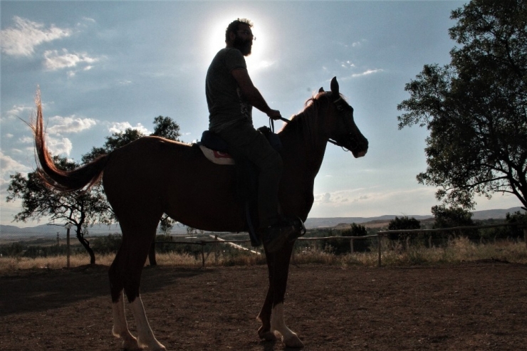 Müdürlüğü Bıraktı, At Çiftliği Açtı