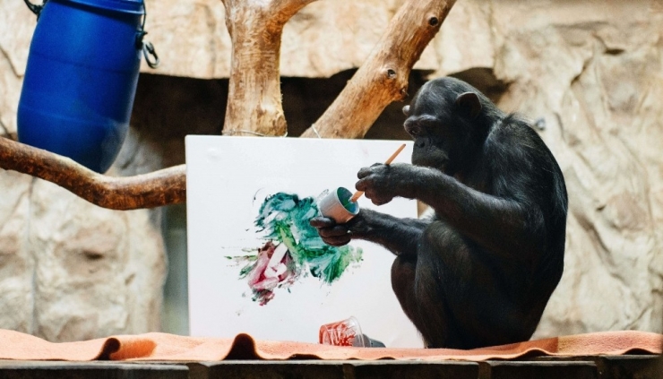 Şempanze Ressam Oldu, Eserleri Açık Arttırmaya Çıkacak