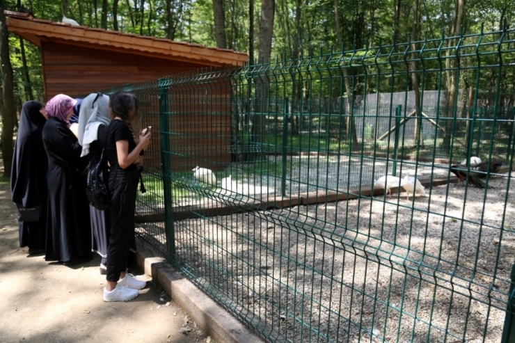 Gez-gör İle ’Doğa Kocaeli’ Turuna Katıldılar