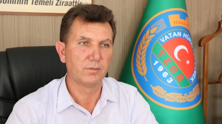 Patatesteki Fiyat "Suni Yükselme"