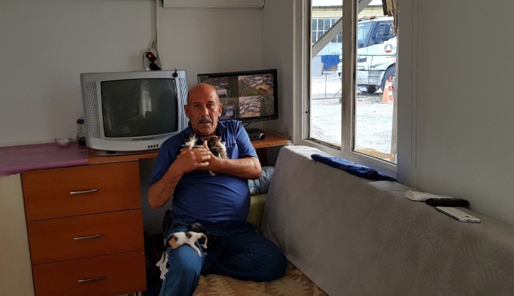 Hurdalıkta Bulduğu 5 Yavru Kediyi Elleriyle Besliyor