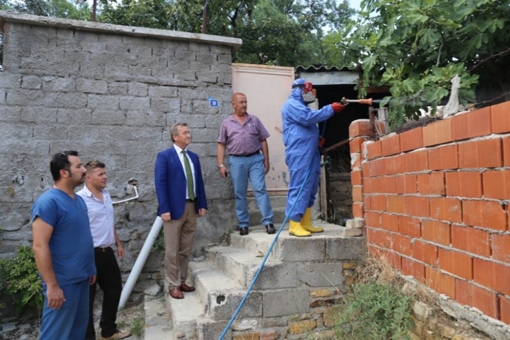 Burhaniye’de Hayvan Barınakları İlaçlanıyor