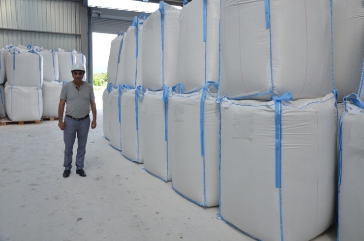 Dünyanın Bentoniti Ordu’dan